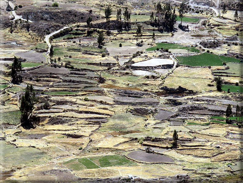 foto Canyon del Colca